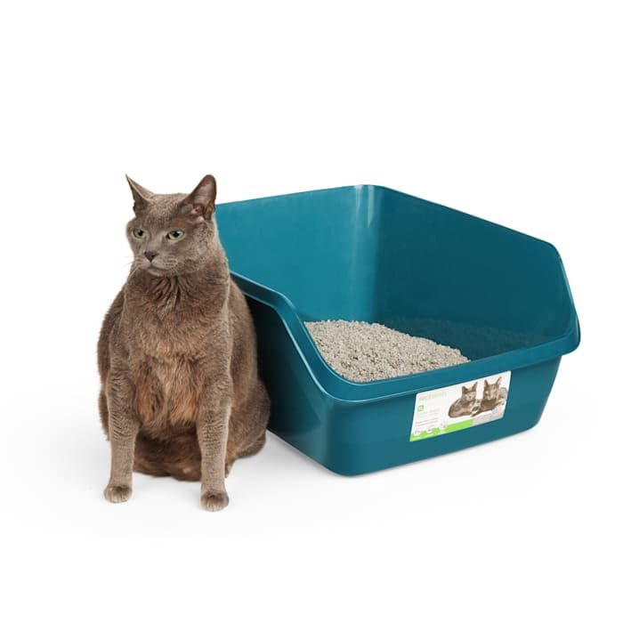 So Phresh Teal Scatter Shield High-Back Litter Box For Cat, X-Large