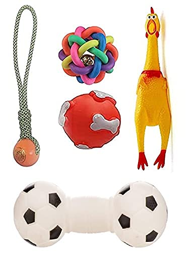 Dog Trust Squeaky, Chew Teether Toys For Dog/Puppy  Squeaky Football Dumbell + Plastic Handle Ball + Squeaky Hen Big + Rainbow 