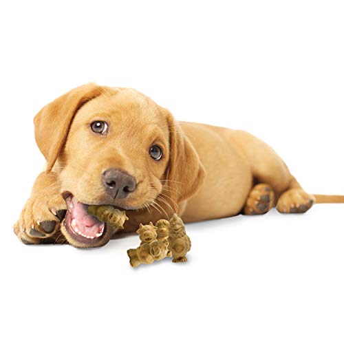 NYL HLTHY EDBL PUP PALS 4CT