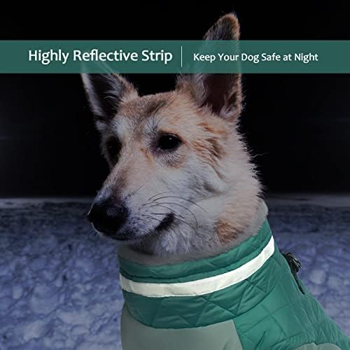 LeLePet Fleece Vest Jacket for Large Dogs - Waterproof, Windproof, Reflective - Neo Mint, 35-85 lbs