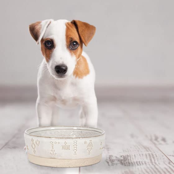 Fringe Studio Stoneware Pet Bowl with Tribal Marks, Medium, White (485002)