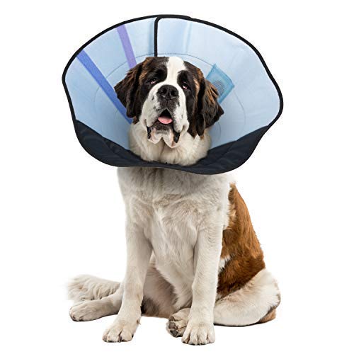 Calm Paws Dog Caring Collar W/Calming X Lg.