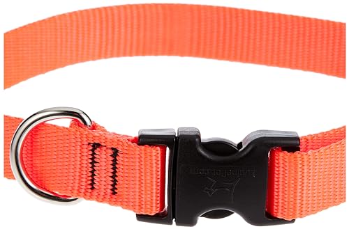 LupinePet Basics 3/4 Blaze Orange 13-22 Adjustable Collar for Medium and Larger Dogs
