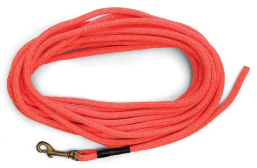 Sportdog Brand Orange Check Cord - 30 Feet Long - Strong But Lightweight Training Tool - Highly Visible And Floats