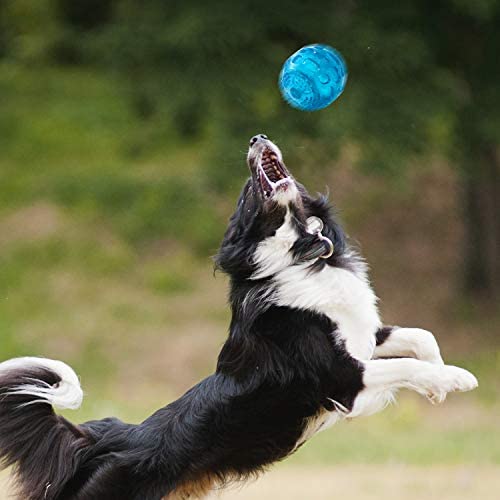 Pjdh 2 Packs Dog Ball Toys For Dog, 3.2 Inches Indestructible Dog Fetch Ball Kong Squeaky Ball For Training Playing, Blue+Green