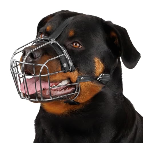 Bronzedog Dog Muzzle Adjustable Durable Metal Wire Basket For Large And Extra Large Dogs With Leather Straps Breathable, Drinkable, Training, Prevents Biting (Stainless Steel, Rottweiler)