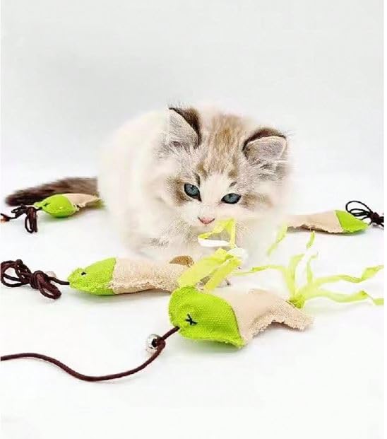 Psk Pet Mart Pet Products Relieve Boredom And Endure Scratching Cat Toys For Indoor Cats Interactive Cat Toy Fish