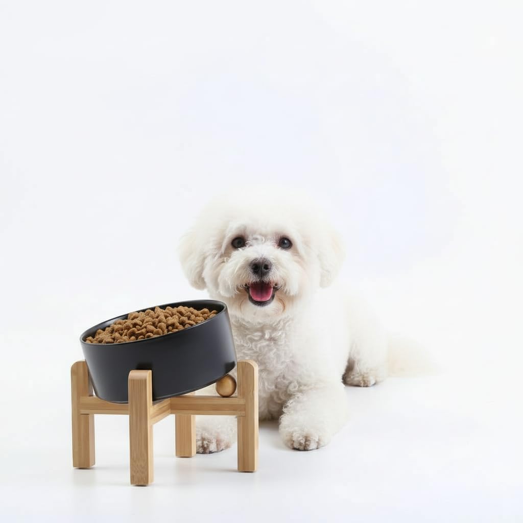 Petygooing Khaki Elevated/Raised 15Slanted Ceramic Dog Bowl for Small and Medium Breeds, Tilted Anti Slip Pet Feeding Bowl,Food 