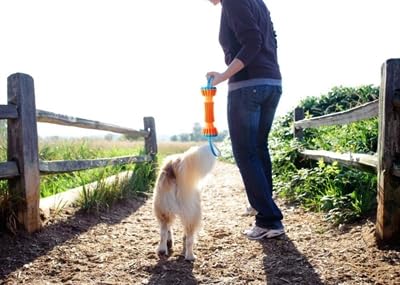 Chuckit! Rugged Bumper Dog Toy - Durable Fetch Stick With Tpr Ridges For Easy Grip - Tug-Of-War Toy For Medium And Large Dogs - Floats In Water - Size Medium - 13.5-Inch Length - Orange And Blue