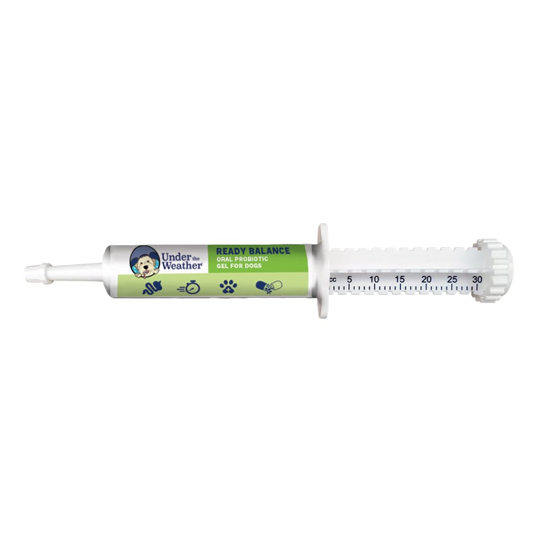 Under the Weather Pet | Ready Balance for Dogs | Oral Probiotic and Prebiotic Gel