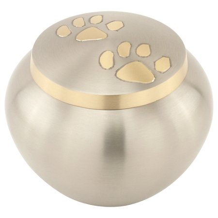 Paw Print Round Pet Cremation Urn For Ashes In Pewter Large, Brass, Silver Urn, Dog Urn, Cat Urn, Large Sized Pet Urn, 4.75 Inches High