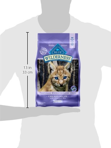 Blue Buffalo Wilderness Natural Kitten Dry Cat Food, with DHA and ARA to Support Brain and Eye Development, High-Protein and Gra