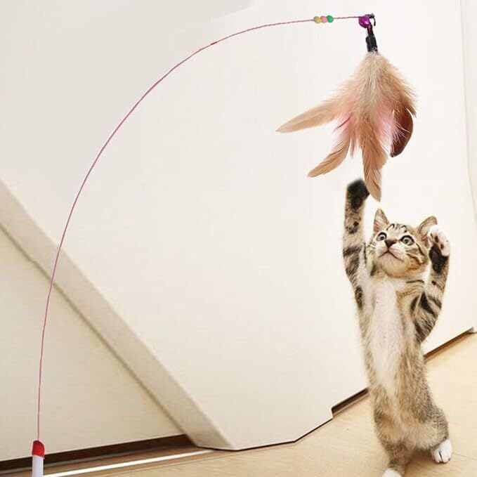 Agirav Cat Teaser Playing Stick Feather Interactive Toy For Cat & Kitten |