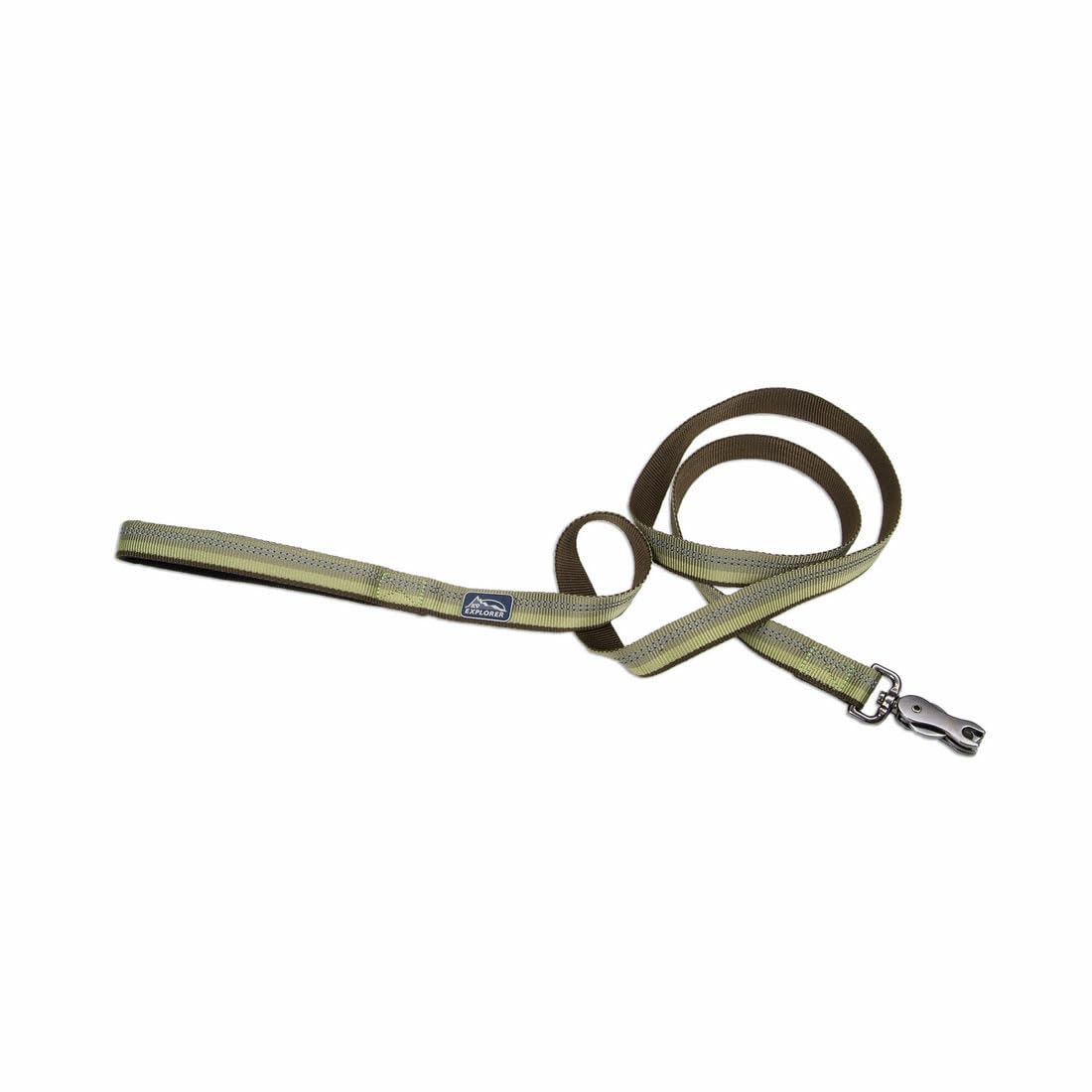 Coastal Pet K9 Explorer Reflective Dog Leash With Scissor Snap - Durable Nylon Dog Leash - Leashes For Dogs & Puppies Pet Supplies For Dogs - Fern, 1' X 6'