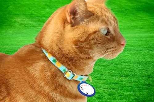 Cat Mate Collar Worn Pet Id Disc For Use With All Cat Mate, Dog Mate, And Closer Pets Products