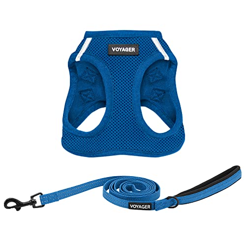 Voyager Step-In Air All Weather Mesh Harness And Reflective Dog 5 Ft Leash Combo With Neoprene Handle, For Small, Medium And Large Breed Puppies By Best Pet Supplies - Leash Harness (Royal Blue), Xxs