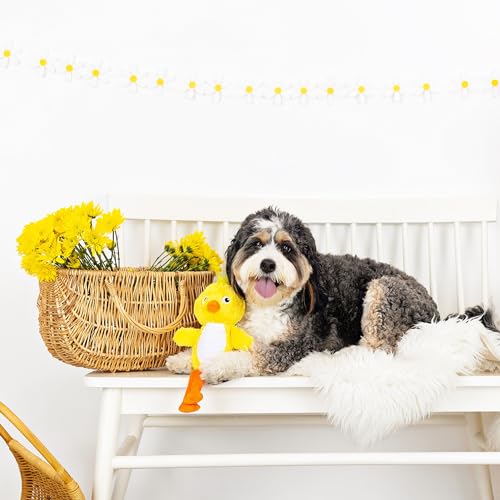 Fringe Studio Plush Dog Toy, Spring Chicken, Pet Shop Collection (314133)