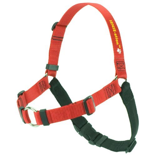 Softouch Sense-Ation No-Pull Dog Harness (Red, Extra Small)