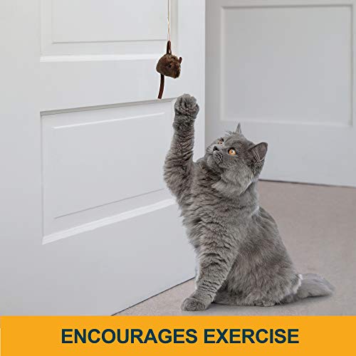 Our Pets Play-N-Squeak Batting Practice Interactive Cat Toy (Cat Toys For Stimulating Play With Real Mouse Sound, Catnip Toys To