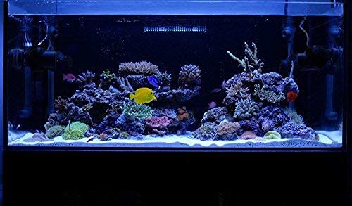 Kzkr Led Aquarium Hood Lighting 72-78 Inch Fish Tank Light Lamp For Freshwater Marine Saltwater Blue And White Decorations Light