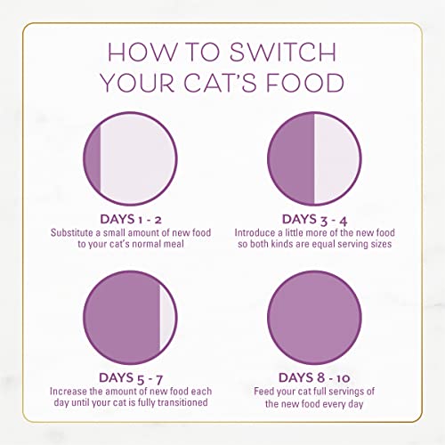 Fancy Feast Dry Cat Food with Chicken & Turkey - 12 lb Bag - Savory Flavor