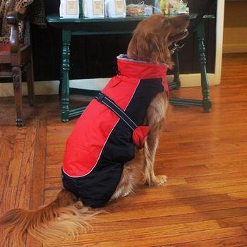 Alpine All-Weather Dog Coat - Red and Black