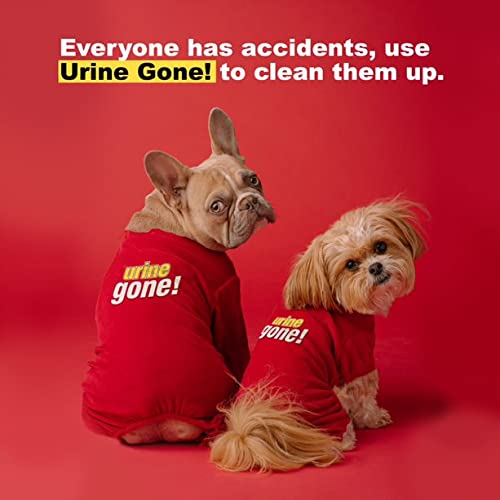 Urine Gone Stain & Odor Eliminator: Professional Strength Fast Acting, Enzyme Based Home Cleaning Solution for Carpet, Stain Rem
