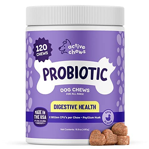 Active Chews | Pet Probiotics for Dogs | Dog Probiotics and Digestive Enzymes for Dogs Diarrhea, Gut Health for Dogs | Probiotic