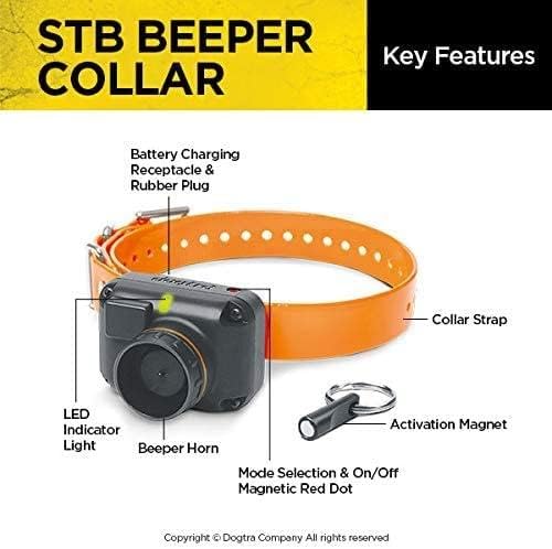 Dogtra STB Beeper Collar - Orange Hunting Dog Collar for Upland Gun Dogs, One Size (25 lbs and Up)