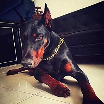 Loveshine Chain Dog Collar 18K Gold Cuban Link Dog Chain Chain Collar Metal Stainless Steel Heavy Duty Slip Dog Collars For Smal