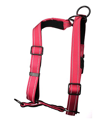 Ultimate Control Dog Harness Small Sized Dog, Black Nylon Small Dog Harness With Detachable Accessory Handle & Leash Extension,