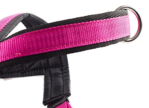 Neewa Sport Harness (Large, Yellow), Padded Dog Harness, With Control Handle, Easy To Put On And Take Off