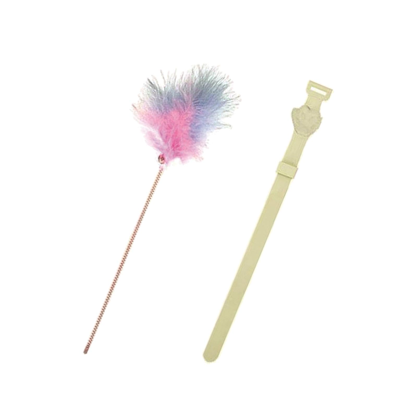 Ecomistiq Cat Teaser Collar Supplies Exercising Funny Indoor Cats Toy Teasing Wand Green| Toys| |Pet