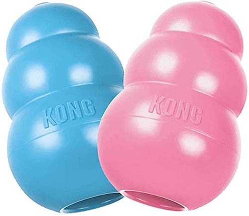 KONg Medium Puppy Teething Toy - colors May Vary(Pack of 1)