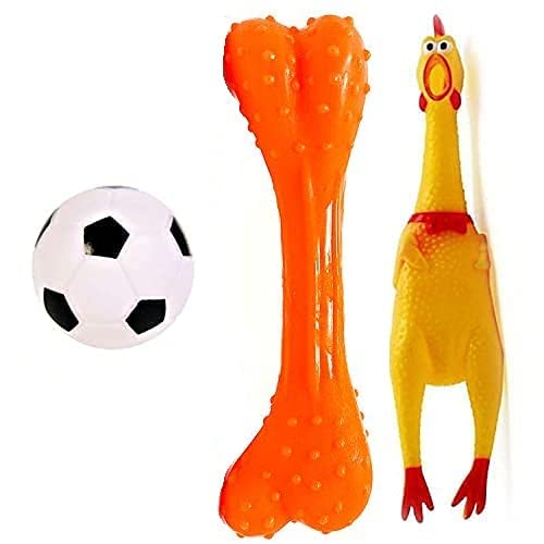 Dog Trust Dog & Puppy Rubber Chew Toys Combo Football, Silicon Dumbbell, Squeaky Chicken Small