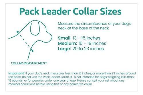 Cesar Millan Pack Leader Collar - Training Collar Of The Dog Whisperer (Small, Grey)