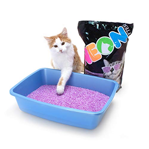 Neon Clumping Silica Gel Crystal Cat Litter, Purple