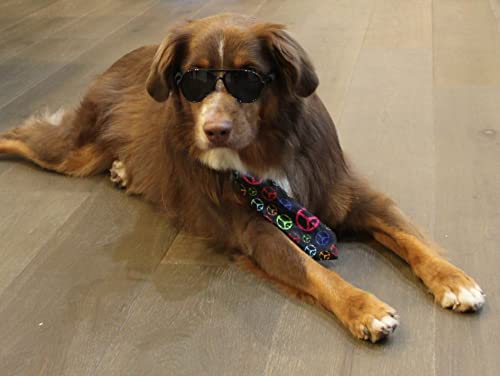 G010 Dog Pet Costume Prop Aviator Sunglasses Medium Breeds 20-40 Lbs (2-Pack Black+Crystal Clear-Mirror)