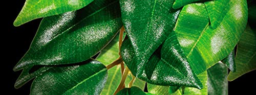 Exo Terra Plastic Terrarium Plant, Large, Amapallo