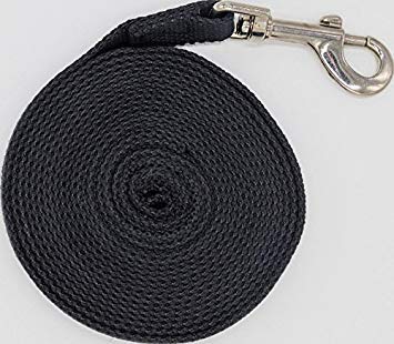 Justzon Long Dog Leash for Small Medium Large Dogs, Dog Training Leash for Outside Yard Obedience Recall Training or Camping (15