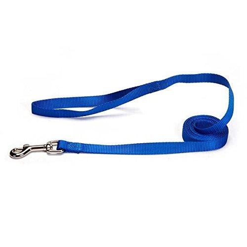 Zack & Zoey Basic Nylon Dog Leash, 4-Feet X 5/8-Inch Lead, Nautical Blue