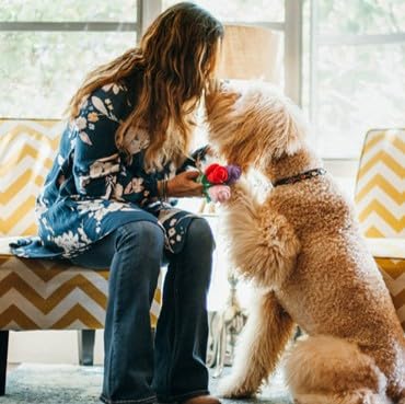 P.L.A.Y. Cute Plush Dog Toys - Puppy Love Valentine'S Day Themed Durable Squeaker Chew Toy, Great For Puppies & Small, Medium, L