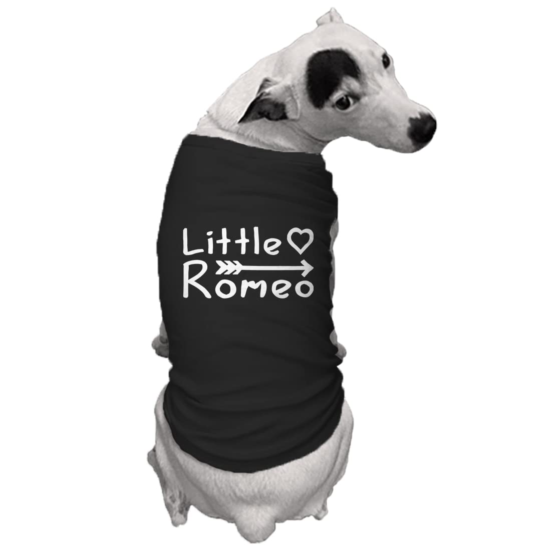 Little Romeo - Stud Handsome Cute Juliet Love Dog Shirt (Black, Large)