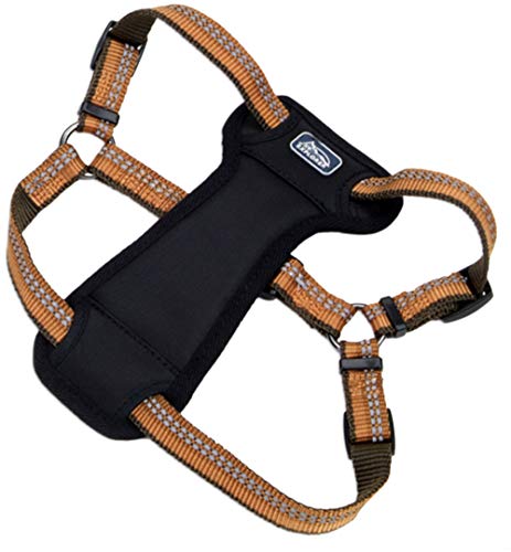 Coastal Pet Products Dcp36946Cog K9 Explorer 1-Inch Harness For Dogs, Large, Orange