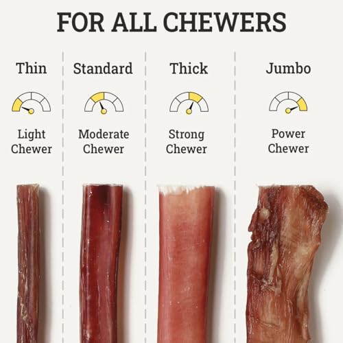 Supreme 12-inch Standard Bully Sticks by Sancho and Lolas (5 Pack) All-Natural, Long-Lasting Dog Chew Treats - Free-Range, Grass