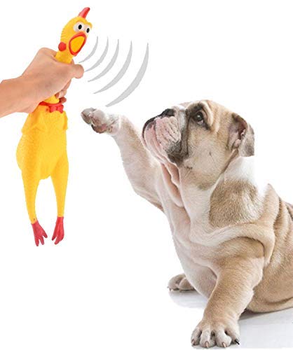 Pet Guard Jumbo Size Natural Rubber Squeaky Cum Chew Chicken Toy For Dog/Puppy/Cat/Kitten