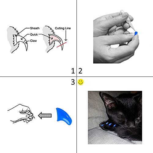 Purrdy Paws 6 Month Supply Soft Nail Caps For Cats Blue Kitten - Extra Adhesives