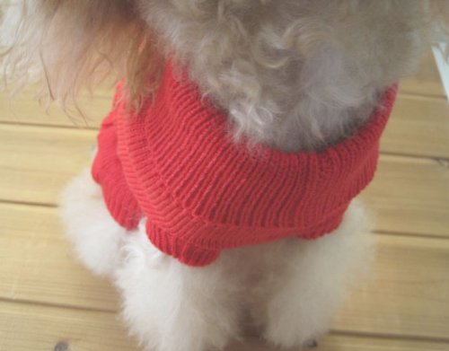 Tangpan Turtleneck Classic Straw-Rope Pro Pet Dog Sweater Apparel (Red,Xxl)
