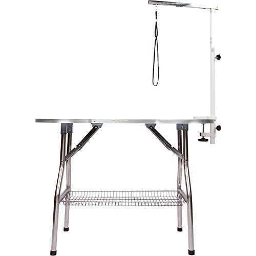 Flying Pig Heavy Duty Stainless Steel Pet Dog Cat Bone Pattern Rubber Surface Grooming Table With Arm/Noose (Sky Blue, 38X22)