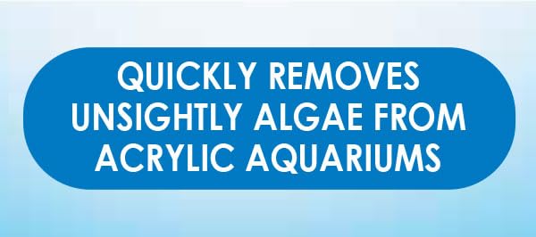 Api Hand Held Algae Pad For Acrylic Aquariums